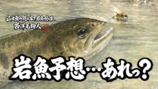 【フライフィッシング】岩魚予想・・・あれっ？ 