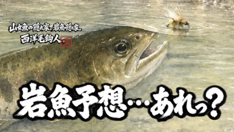 【フライフィッシング】岩魚予想・・・あれっ？