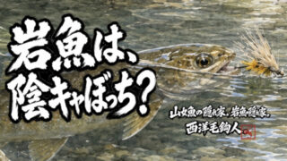 【フライフィッシング】岩魚は、陰キャぼっち？ 