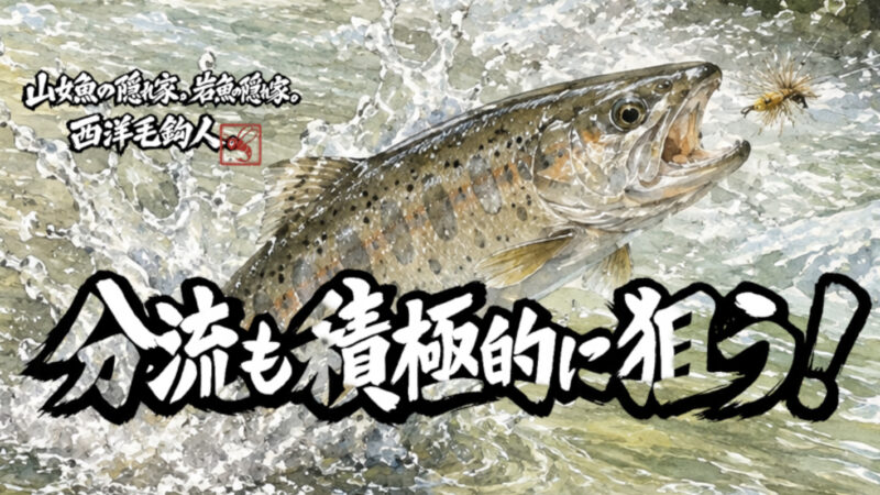 【フライフィッシング】分流も積極的に狙う！