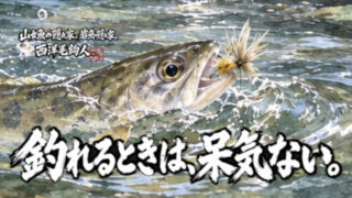 【フライフィッシング】釣れるときは、呆気ない。 