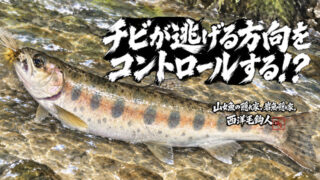 【フライフィッシング】チビが逃げる方向をコントロールする！？ 