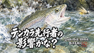 【フライフィッシング】テンカラ先行者の影響かな？ 