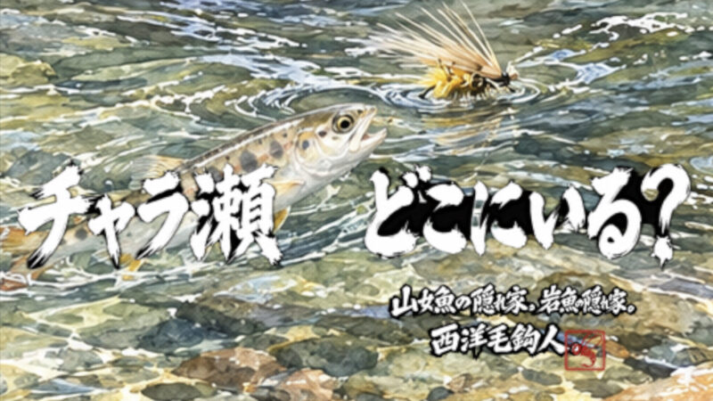 【フライフィッシング】チャラ瀬・・・どこにいる？