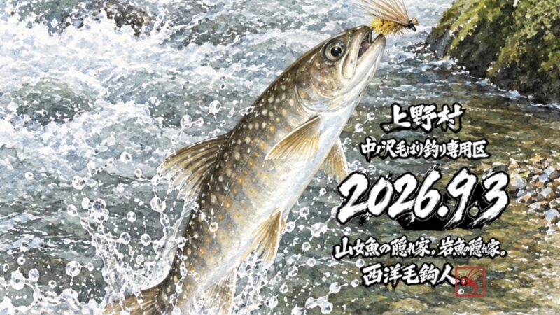【釣果2匹山女魚0岩魚2】中ノ沢毛ばり釣り専用区2026.9.3