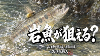 【フライフィッシング】岩魚が狙える？ 
