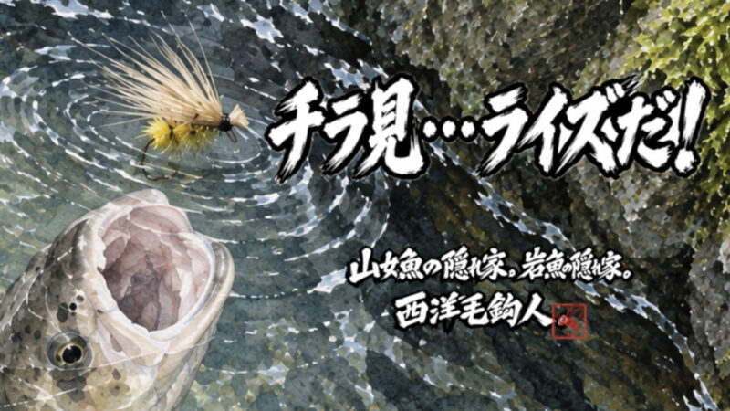 【フライフィッシング】チラ見・・・ライズだ！