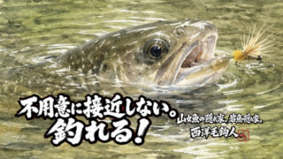【フライフィッシング】不用意に接近しない。釣れる！ 