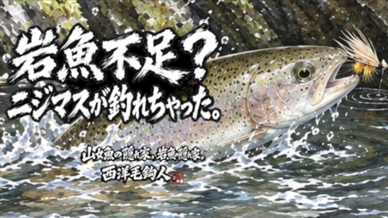 【フライフィッシング】岩魚不足？ニジマスが釣れちゃった。