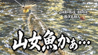 【フライフィッシング】山女魚かぁ・・・ 