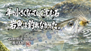 【フライフィッシング】年々小さくなっていく沈む石？岩魚は釣れなかった。 