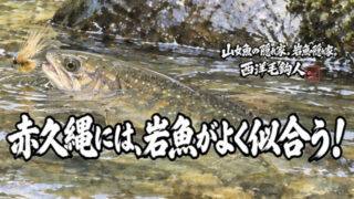 【フライフィッシング】赤久縄には、岩魚がよく似合う！？ 