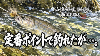 【フライフィッシング】定番ポイントで釣れたが・・・。 