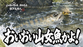 【フライフィッシング】おいおい山女魚かよ！ 