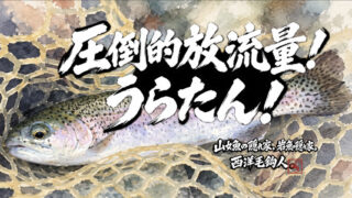 【フライフィッシング】圧倒的放流量！うらたん！ 