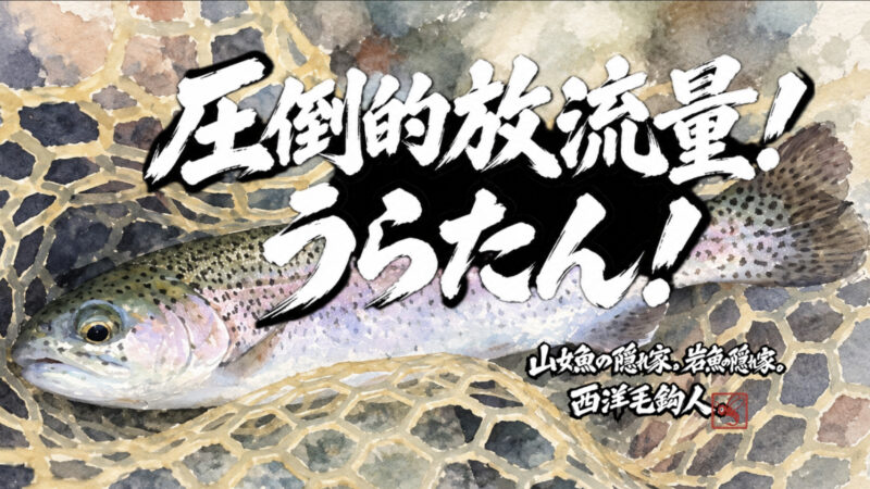 【フライフィッシング】圧倒的放流量！うらたん！
