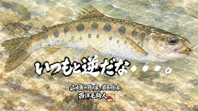【フライフィッシング】いつもと逆だな・・・。