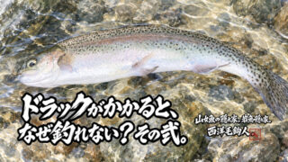 【フライフィッシング】ドラックがかかると、なぜ釣れない？その弍。 
