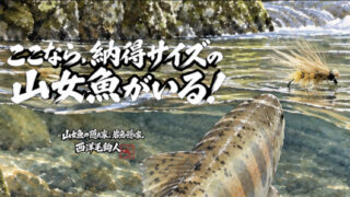 【フライフィッシング】ここなら、納得サイズの山女魚がいる！ 