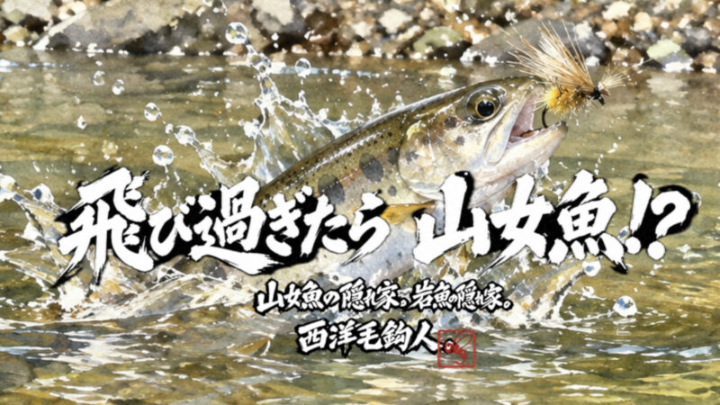 【フライフィッシング】飛び過ぎたら、山女魚！？