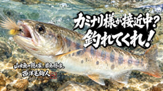 【フライフィッシング】カミナリ様が接近中？釣れてくれ！ 