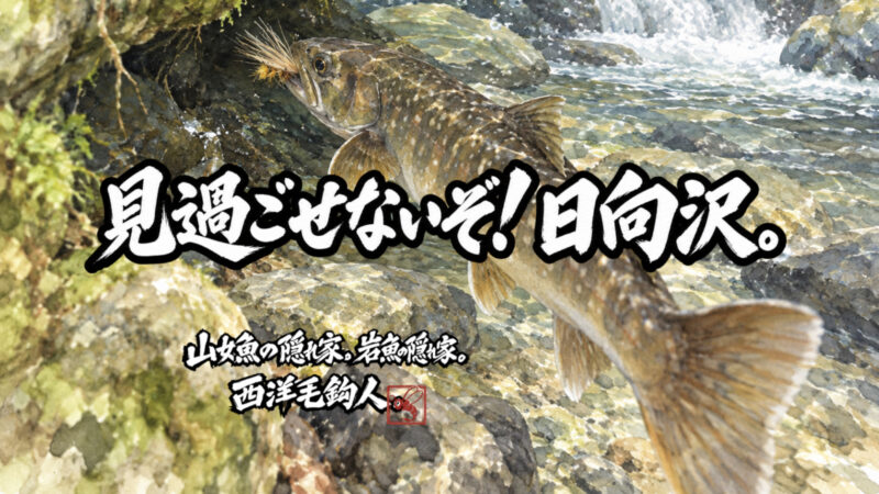 【フライフィッシング】見過ごせないぞ！日向沢。