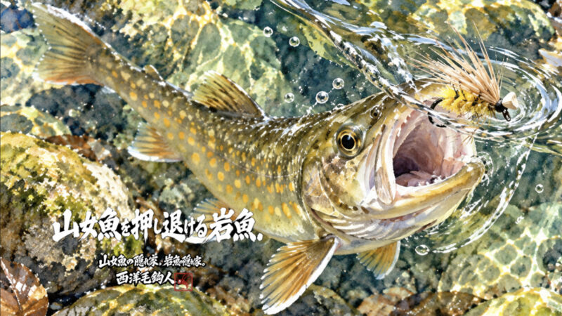 【フライフィッシング】山女魚を押し退ける岩魚！？