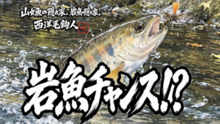 【フライフィッシング】岩魚チャンス！？ 